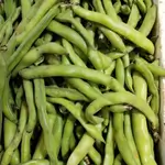 Beans